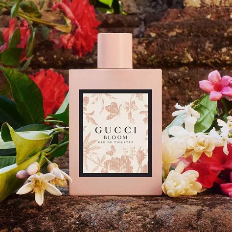 bloom by gucci|where to buy gucci bloom.